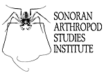 Sonoran Arthropod Studies Institute